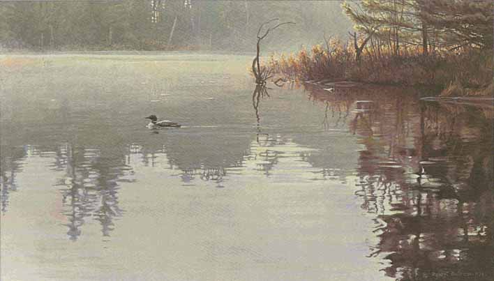 ROBERT BATEMAN 11X19 Secondary Market Art: "SUMMER MORNING LOON AP"