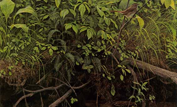 ROBERT BATEMAN 13X20 Secondary Market Art: "STREAM BANK JUNE AP"