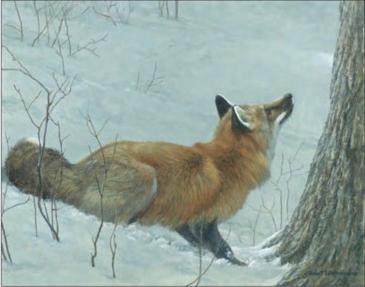 ROBERT BATEMAN 15X12 Secondary Market Art: "GAME OVER FOX & MAPLE"