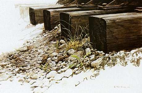 ROBERT BATEMAN 15X23 Secondary Market Art: "BY THE TRACKS KILLDEER"