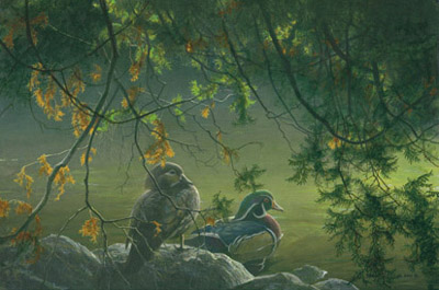 ROBERT BATEMAN 15X23 Secondary Market Art: "ON THE POND WOODDUCKS"