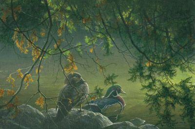 ROBERT BATEMAN 15X23 Secondary Market Art: "ON THE POND WOODDUCKS"