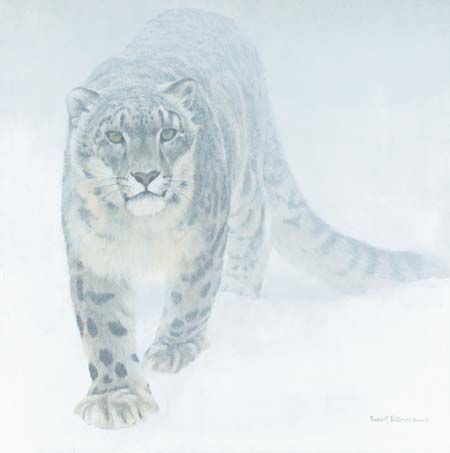 ROBERT BATEMAN 16X16 Secondary Market Art: "OUT OF WHITE LEOP GCNV"