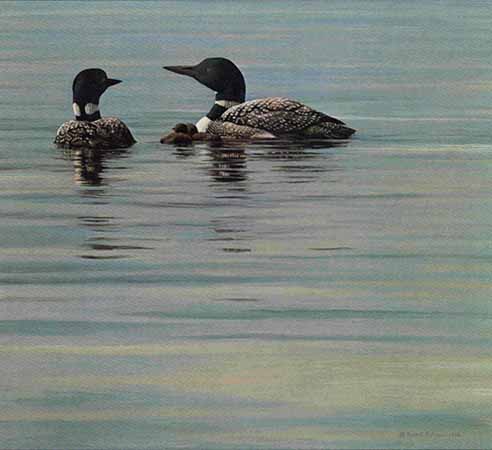 ROBERT BATEMAN 16X18 Secondary Market Art: "LOON FAMILY"