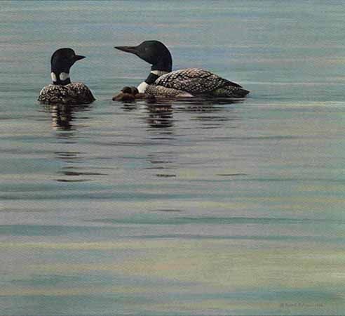 ROBERT BATEMAN 16X18 Secondary Market Art: "LOON FAMILY AP"