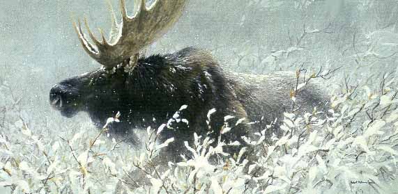 ROBERT BATEMAN 16X33 Secondary Market Art: "WINTER RUN MOOSE"