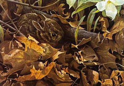 ROBERT BATEMAN 17X12 Secondary Market Art: "AMONG LEAVES COTTON AP"
