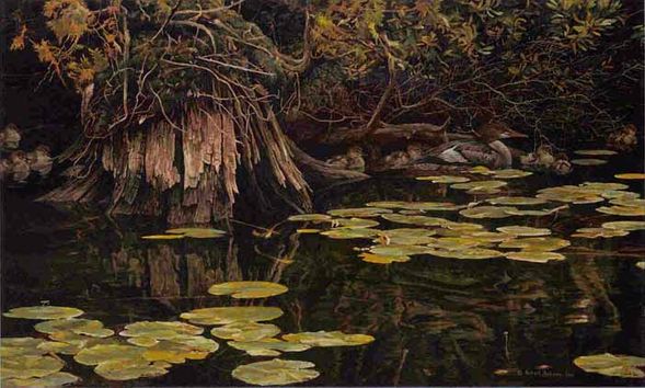 ROBERT BATEMAN 17X27 Secondary Market Art: "MERGANSER IN HIDING AP"