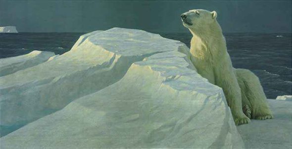 ROBERT BATEMAN 17X35 Secondary Market Art: "LONG LIGHT POLAR BEAR"