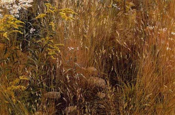 ROBERT BATEMAN 18X27 Secondary Market Art: "MARGINAL MEADOW"