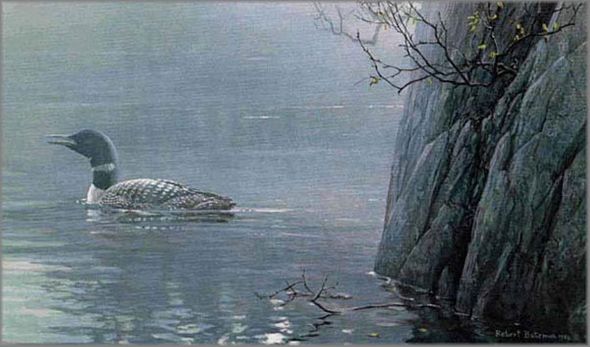 ROBERT BATEMAN 19X11 Secondary Market Art: "EVENING CALL LOON"