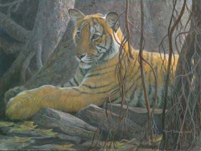 ROBERT BATEMAN 19X27 Secondary Market Art: "UNDER BANYAN TIGER AP"
