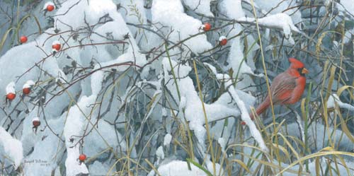 ROBERT BATEMAN 20X10 Secondary Market Art: "FRESH SNOW CARDINAL"