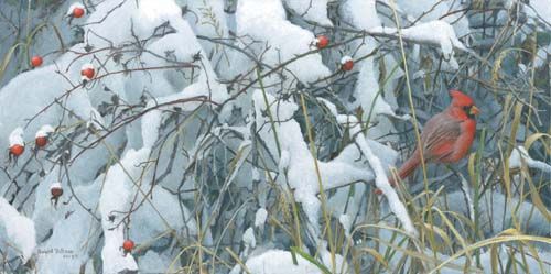 ROBERT BATEMAN 20X10 Secondary Market Art: "FRESH SNOW CARDINAL"