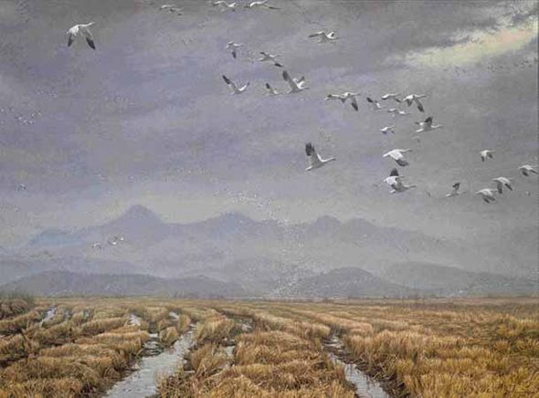 ROBERT BATEMAN 20X26 Secondary Market Art: "ACROSS SKY GEESE AP"