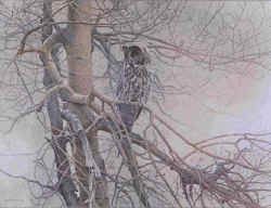 ROBERT BATEMAN 20X26 Secondary Market Art: "GHOST OF THE NORTH"