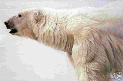 ROBERT BATEMAN 20X30 Secondary Market Art: "POLAR BEAR PROFILE"