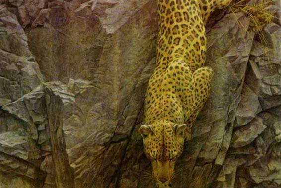 ROBERT BATEMAN 20X30 Secondary Market Art: "ROCKFACE DESCENT"