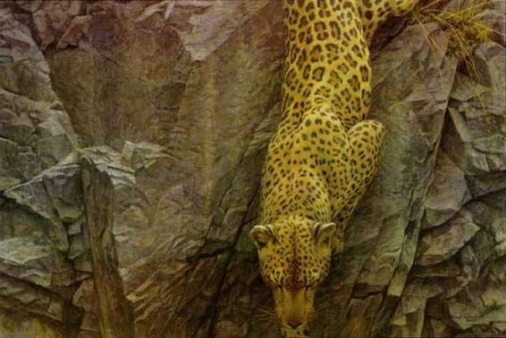 ROBERT BATEMAN 20X30 Secondary Market Art: "ROCKFACE DESCENT"