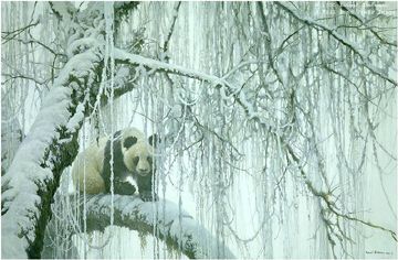 ROBERT BATEMAN 20X30 Secondary Market Art: "WINTER FILIGREE PANDA"