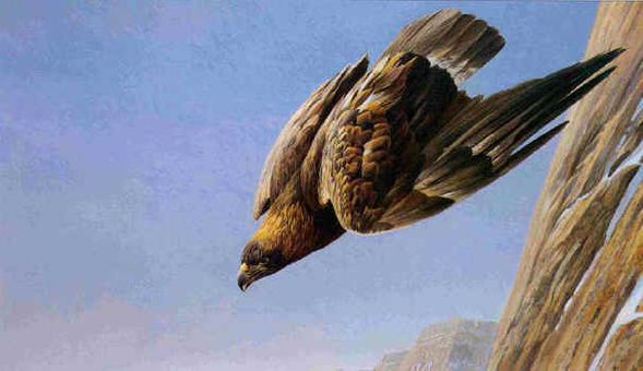 ROBERT BATEMAN 20X32 Secondary Market Art: "GOLDEN EAGLE"