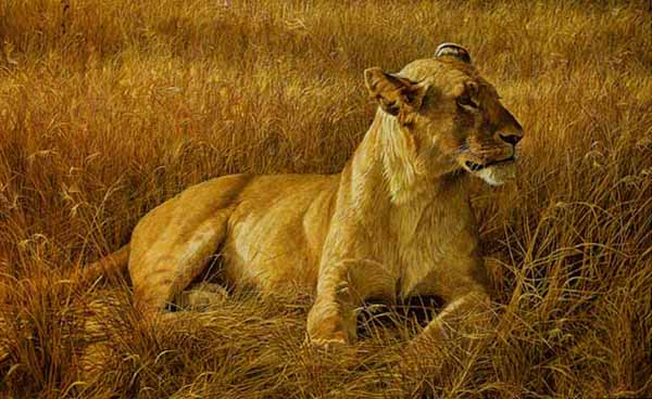 ROBERT BATEMAN 20X32 Secondary Market Art: "LIONESS AT SERENGETI"