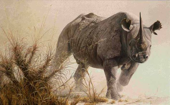 ROBERT BATEMAN 20X33 Secondary Market Art: "CHARGING RHINO"