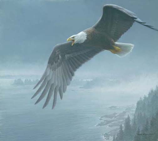 ROBERT BATEMAN 22X25 Secondary Market Art: "ON THE WING BALD"