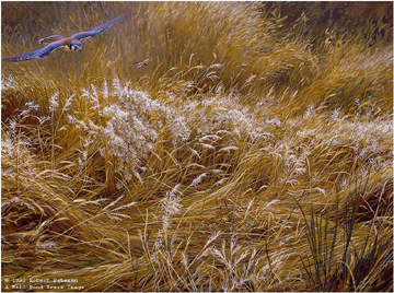 ROBERT BATEMAN 22X29 Secondary Market Art: "KESTREL & GRASSHOPPER"