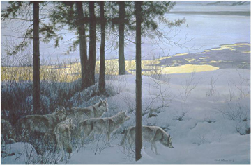 ROBERT BATEMAN 22X32 Secondary Market Art: "EDGE OF NIGHT WOLVES"