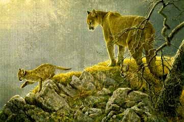 ROBERT BATEMAN 22X33 Secondary Market Art: "EXCURSION COUGAR KITS"