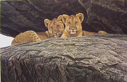 ROBERT BATEMAN 23X15 Secondary Market Art: "LION CUBS"