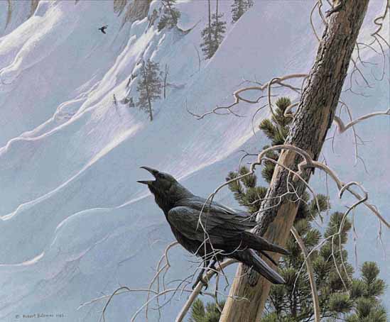 ROBERT BATEMAN 23X25 Secondary Market Art: "WINTER IN MTNS RAVEN"