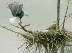 ROBERT BATEMAN 23X30 Secondary Market Art: "RETURN EAGLE PAIR"