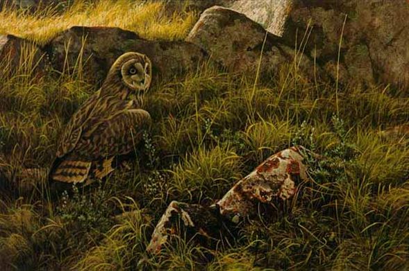ROBERT BATEMAN 23X31 Secondary Market Art: "PRAIRIE EVENING OWL"
