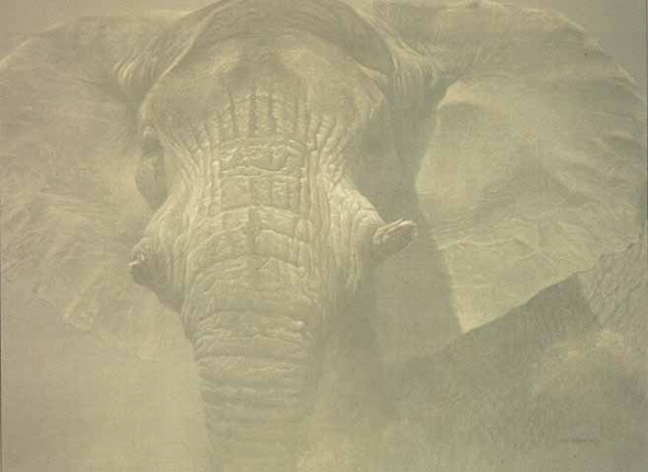 ROBERT BATEMAN 23X31 Secondary Market Art: "WISE ONE AP"
