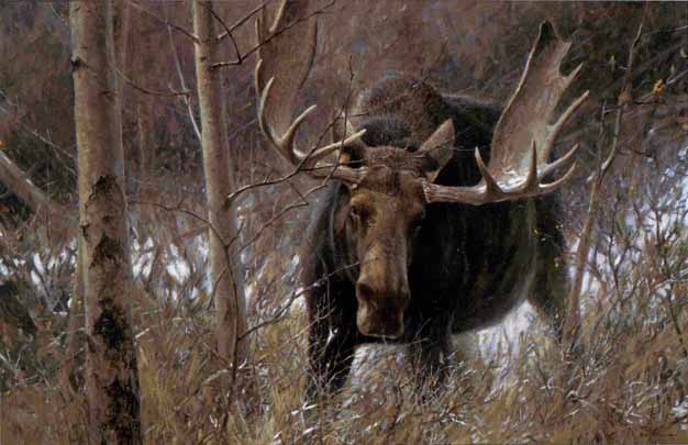 ROBERT BATEMAN 23X34 Secondary Market Art: "CHALLENGE BULL MOOSE"