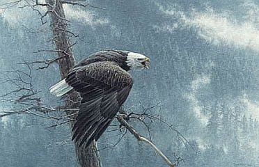 ROBERT BATEMAN 23X35 Secondary Market Art: "AIR FOREST WATCH PRE"