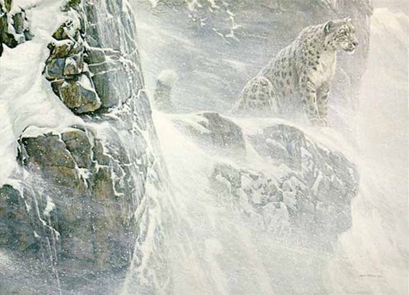 ROBERT BATEMAN 25X32 Secondary Market Art: "HIGH KINGDOM LEOPARD"
