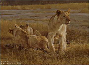 ROBERT BATEMAN 26X34 Secondary Market Art: "LIONS AT DAWN"
