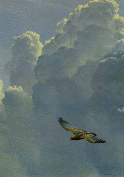 ROBERT BATEMAN 27X19 Secondary Market Art: "FLYING HIGH EAGLE"