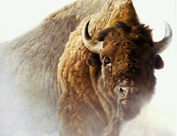 ROBERT BATEMAN 27X20 Secondary Market Art: "CHIEF BISON"