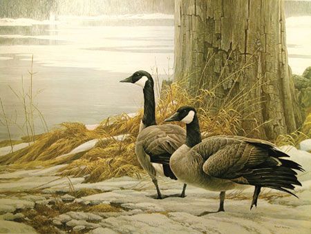 ROBERT BATEMAN 27X36 Secondary Market Art: "CANADA GEESE WINTR1975"