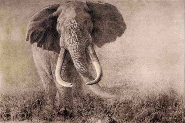 ROBERT BATEMAN 29X41 Secondary Market Art: "HOMAGE TO AHMED LTH"