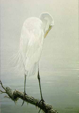 ROBERT BATEMAN 30X19 Secondary Market Art: "GREAT EGRET PREENIN AP"