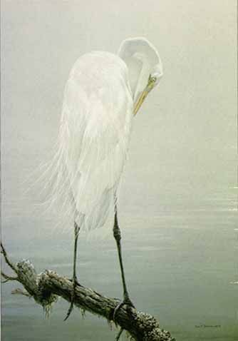 ROBERT BATEMAN 30X19 Secondary Market Art: "GREAT EGRET PREENIN AP"
