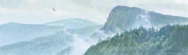 ROBERT BATEMAN 30X40 Secondary Market Art: "THINKING LIKE A MTN AP"