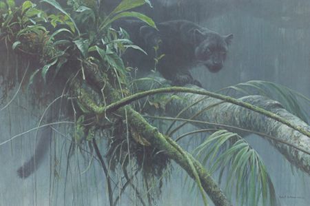 ROBERT BATEMAN 32X22 Secondary Market Art: "SHADOW RAINFOREST"