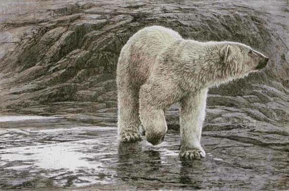 ROBERT BATEMAN 33X22 Secondary Market Art: "POLAR BEAR LITHO"