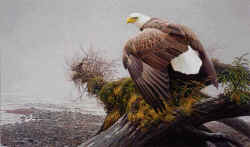 ROBERT BATEMAN 34X20 Secondary Market Art: "VANTAGE POINT"